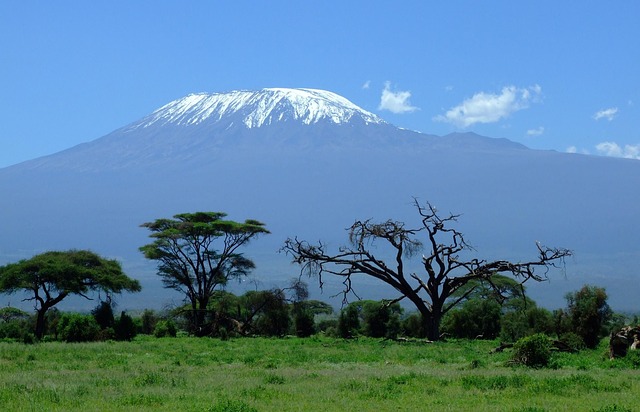 vue sur le mont kilimanjaro lors d'un safari au kenya