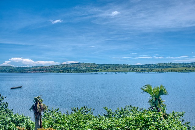 croisière sur le nil et safari en ouganda