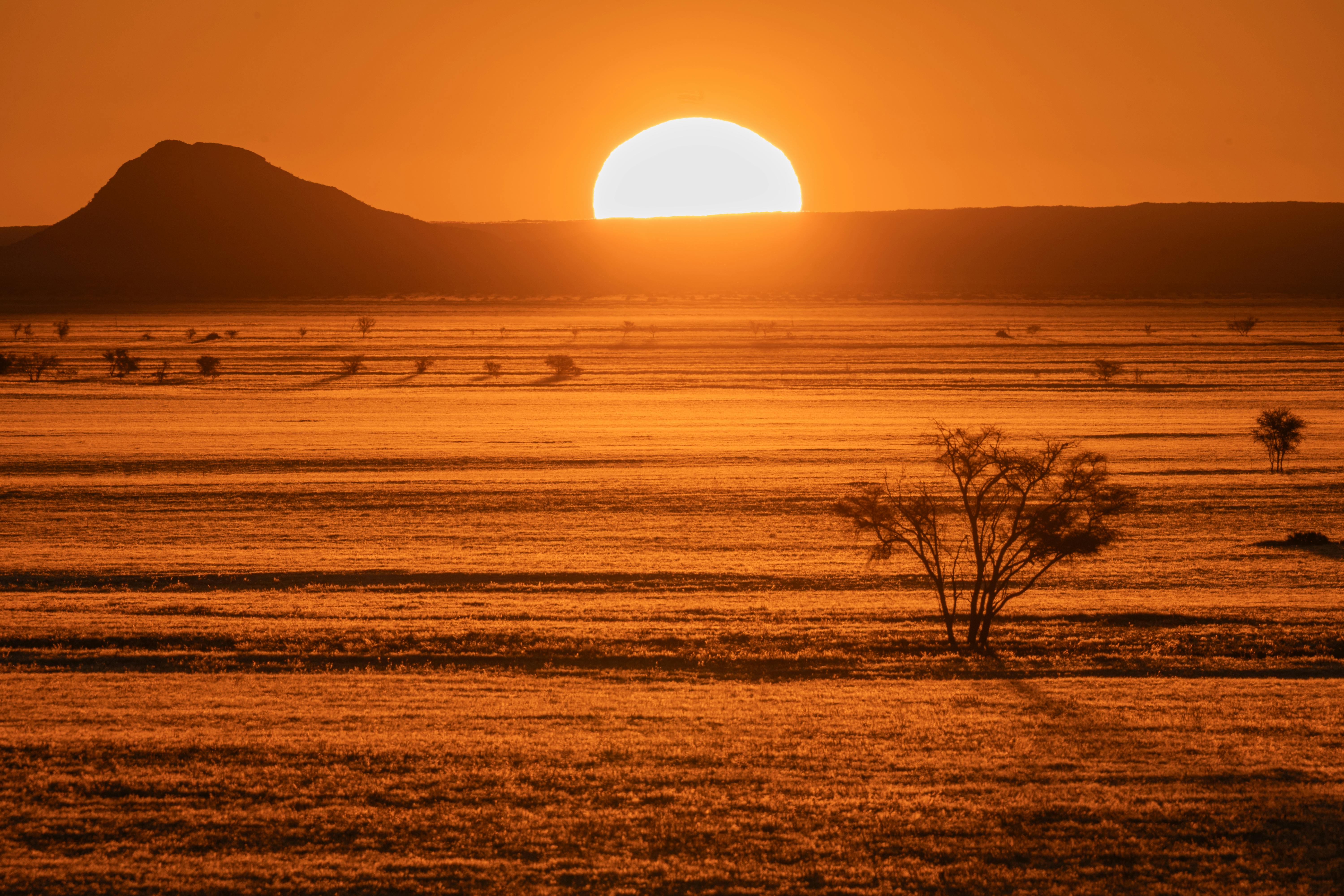 Le désert du Namib