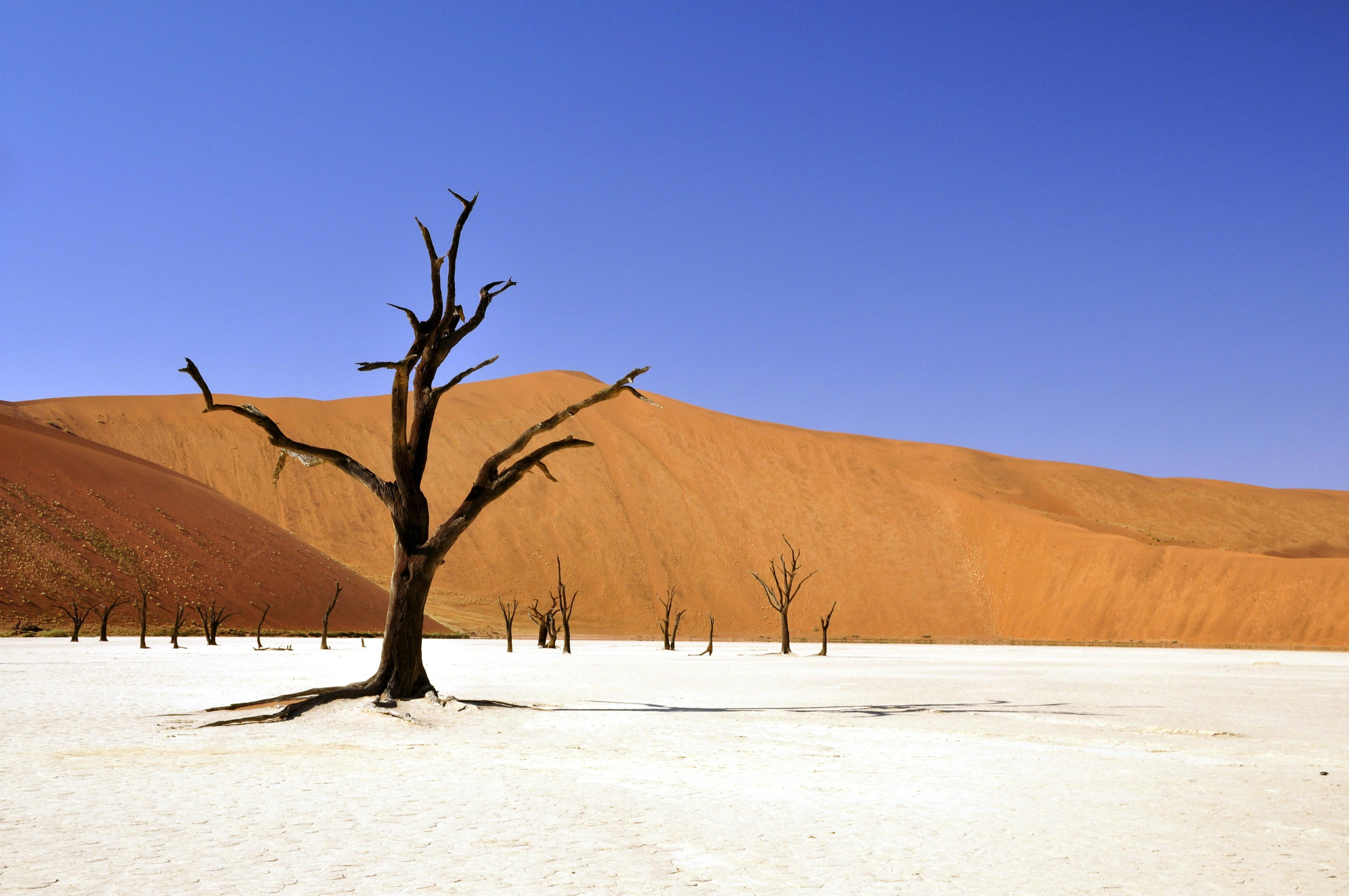 Les paysages de Namibie