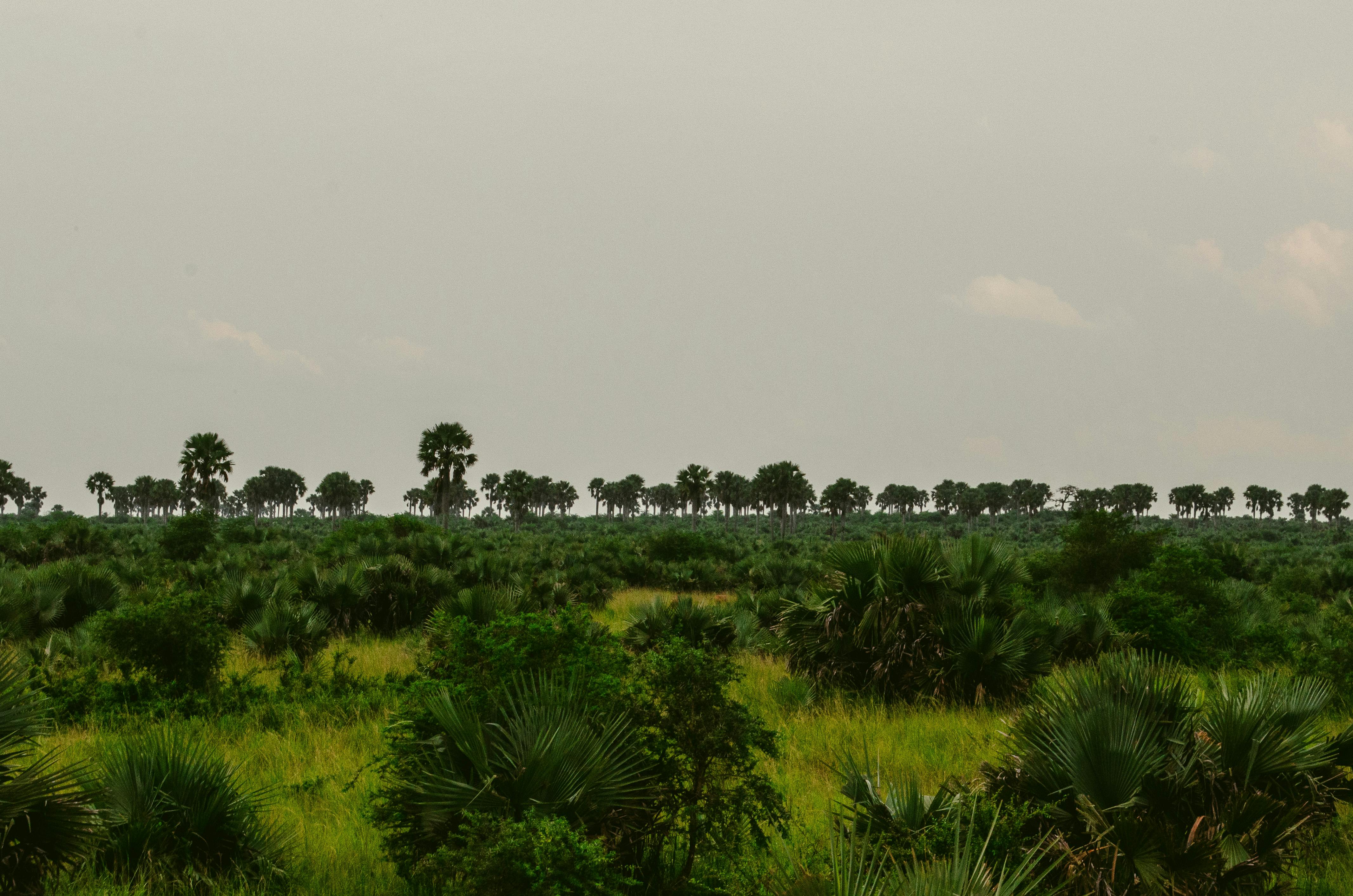 parc naturel en Ouganda