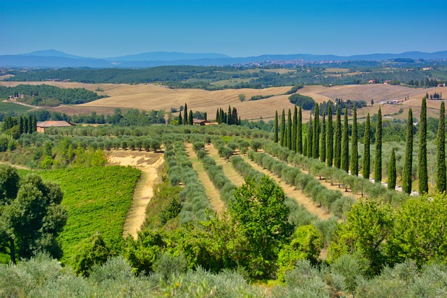 La campagne Toscane en Italie