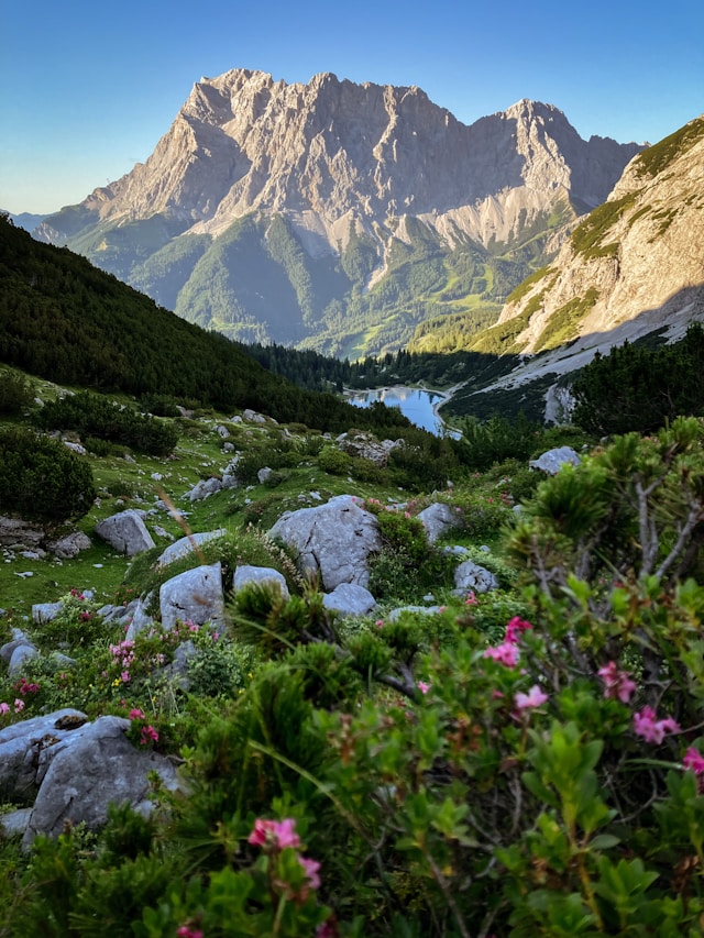 paysage de montagne randonnée en autriche