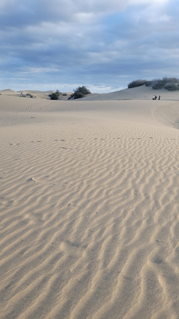 dunes de maspalomas