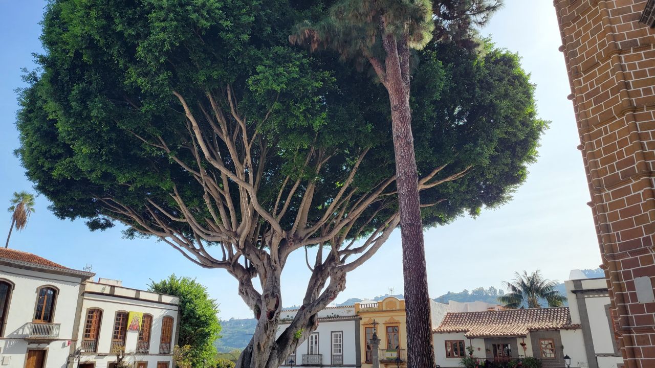 gran-canaria-espagne-2(2)-65e8916b15041