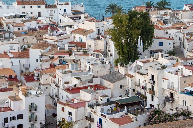 Vue sur le village d'Ibiza dans les Canaries