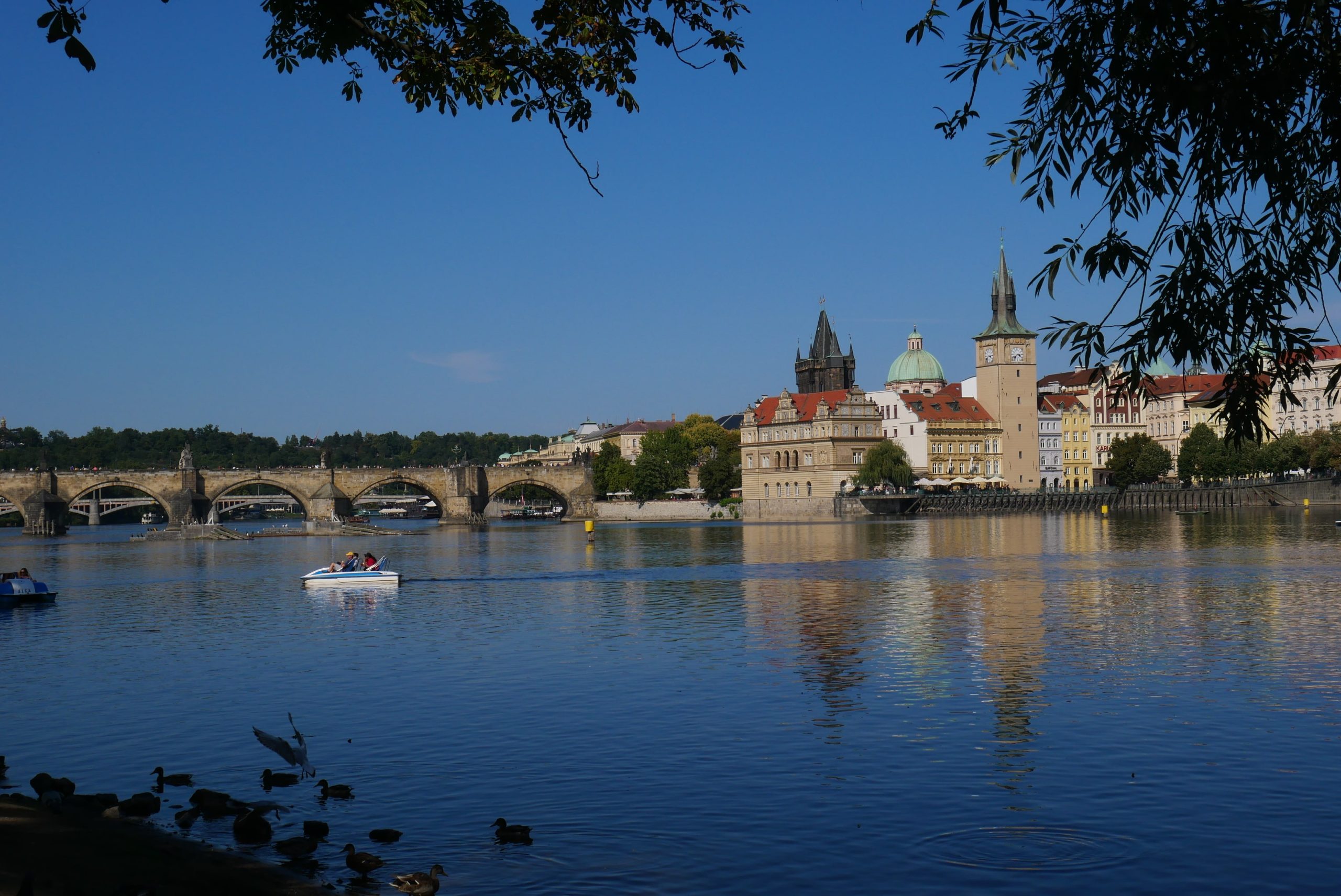 prague (3)