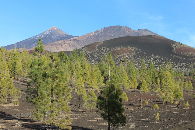 Un paysage typique de la région de Teide à Ténérife