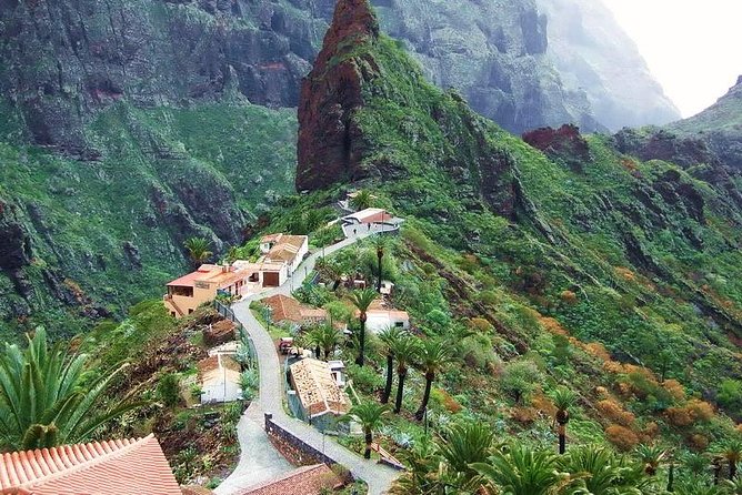 Le parc du Tiede à Tenerife