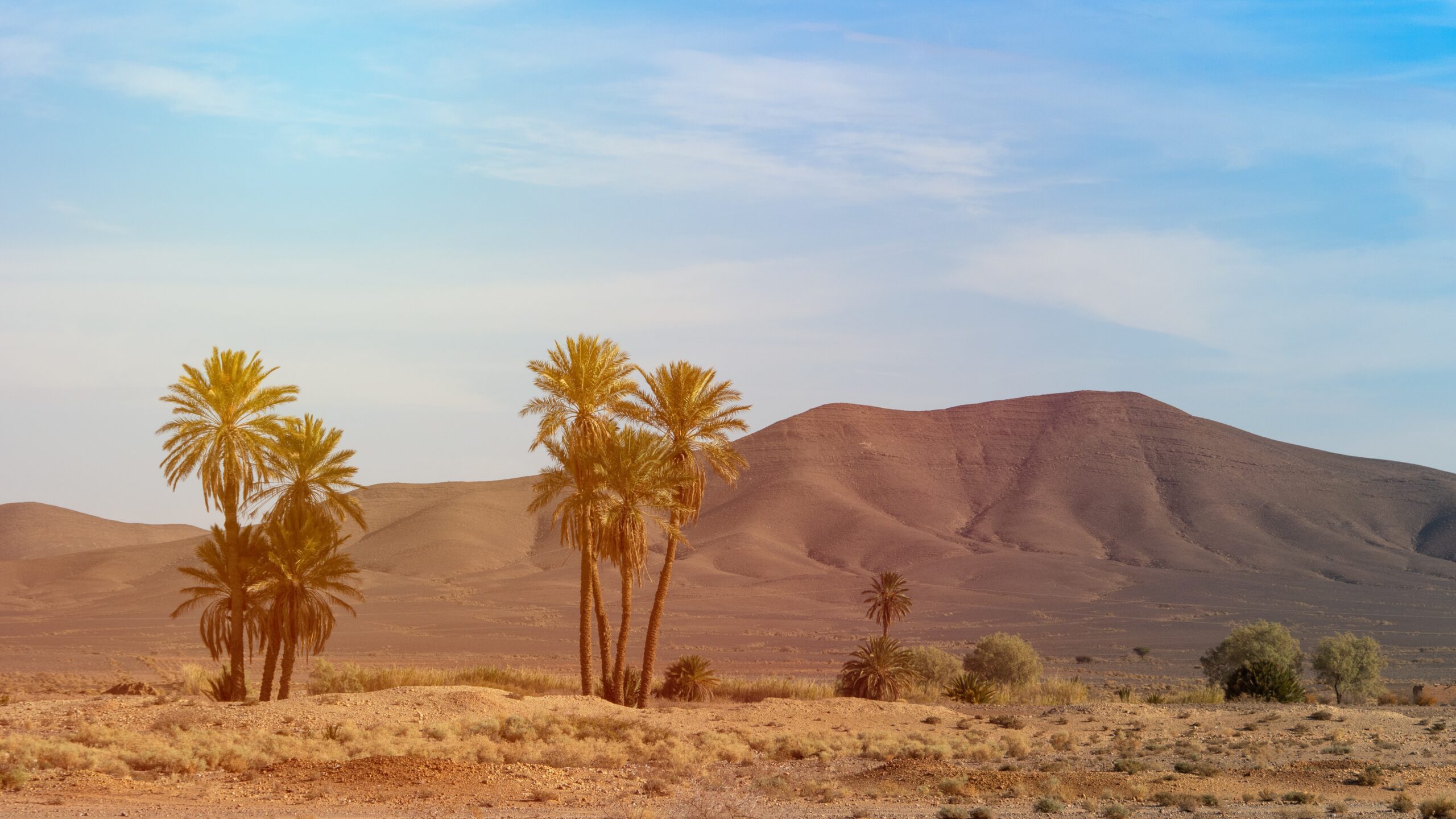 Le désert marocain