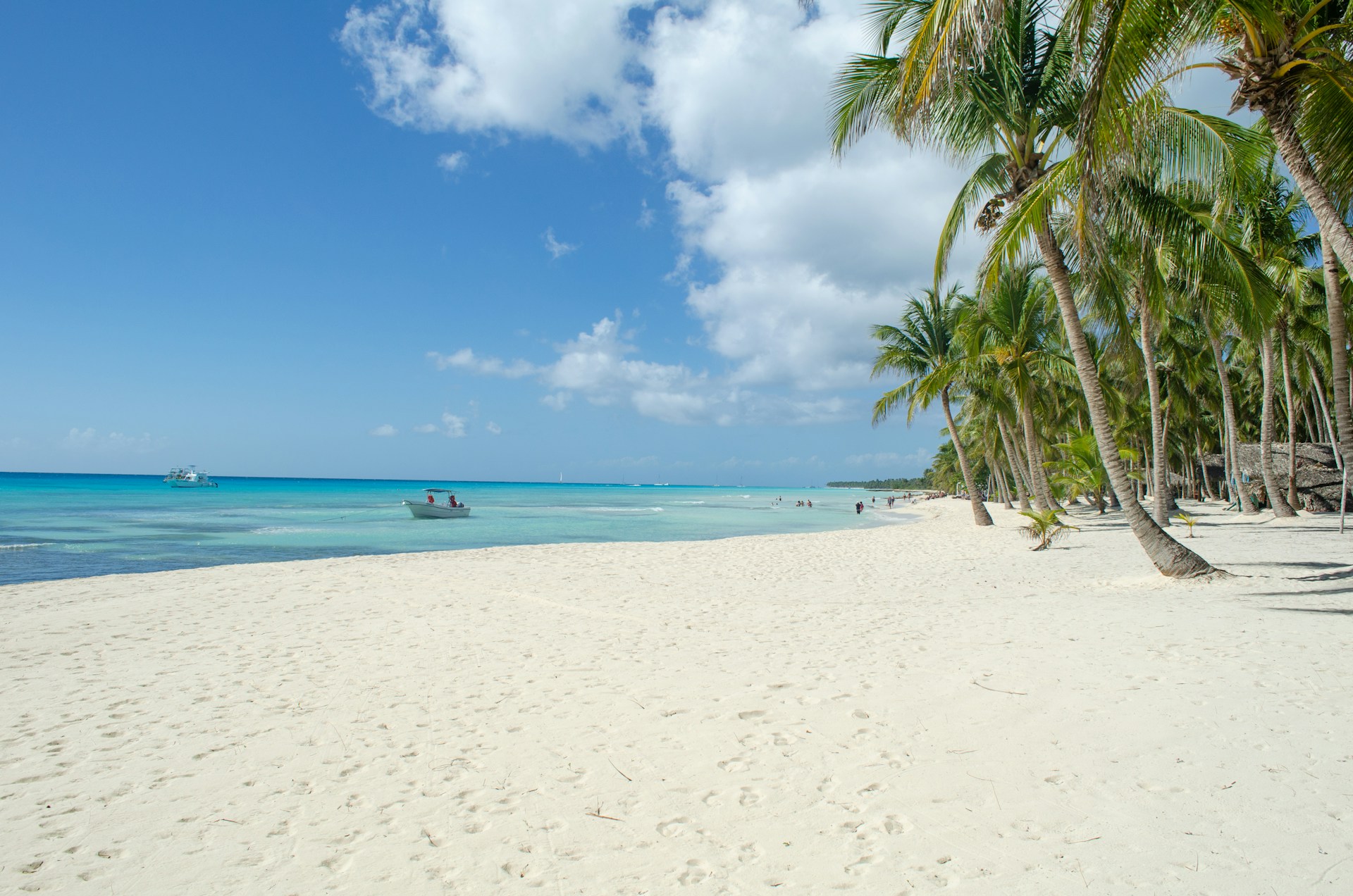 vue d'une plage de sable blanc en republique dominicaine