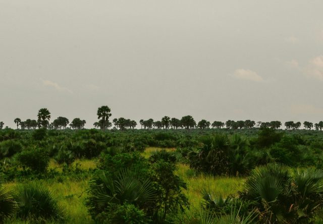 nature ouganda