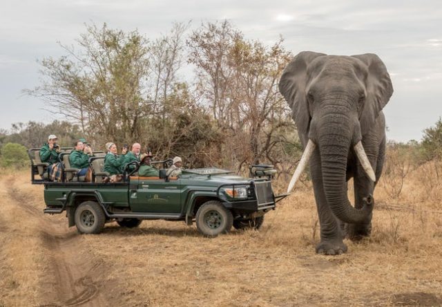 des touristes au safari de la réserve Karongwe en Afrique du Sud